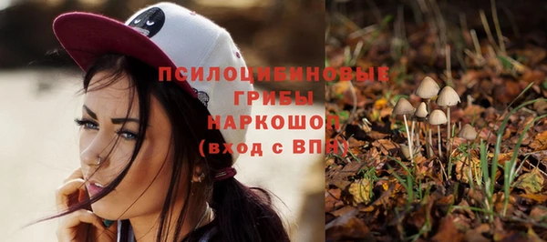 хмурый Алексеевка